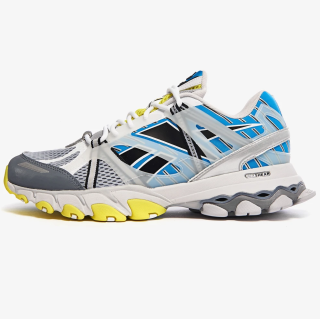 Reebok DMX Trail Shadow FW3405 масивные кроссовки 