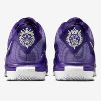 Nike Lebron Witness 7 DZ3299-500 баскетбольные кроссовки
