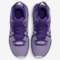 Nike Lebron Witness 7 DZ3299-500 баскетбольные кроссовки