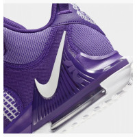 Nike Lebron Witness 7 DZ3299-500 баскетбольные кроссовки