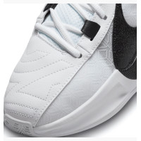 Nike Zoom Freak 5 Tb DZ2946-100 белые баскетбольные кроссовки