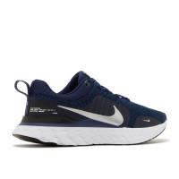 Nike React Infinity Run Flyknit 3 DZ3014-401 Мужские беговые кроссовки 
