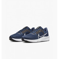 Nike Air Zoom Pegasus 40 DV3853-400 Мужские беговые кроссовки 