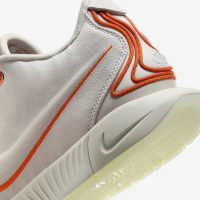 Nike Lebron 21 Akoya FV2346-001 баскетбольные кроссовки