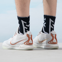 Nike Lebron 21 Akoya FV2346-001 баскетбольные кроссовки