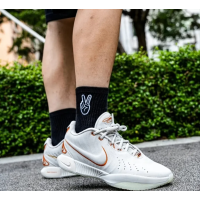 Nike Lebron 21 Akoya FV2346-001 баскетбольные кроссовки