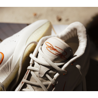 Nike Lebron 21 Akoya FV2346-001 баскетбольные кроссовки