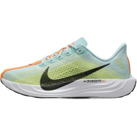 Nike Pegasus Plus FQ7262-400 кроссовки летние беговые