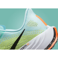 Nike Pegasus Plus FQ7262-400 кроссовки летние беговые
