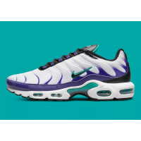 Nike Air Max Plus TN DM0032-100 кроссовки мужские оригинал