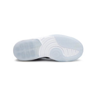 Jordan Max Aura AQ9084 011 мужские баскетбольные кроссовки