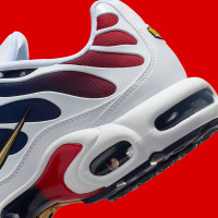 Nike Air Max Plus PSG FZ4776-100 Мужские кроссовки