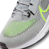 Nike Pegasus 40 DV3853-004 кроссовки мужские летние