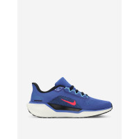 Nike Pegasus 41 FD2722-401 кроссовки мужские летние