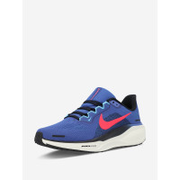 Nike Pegasus 41 FD2722-401 кроссовки мужские летние