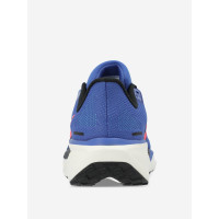 Nike Pegasus 41 FD2722-401 кроссовки мужские летние