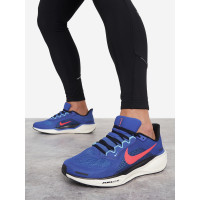 Nike Pegasus 41 FD2722-401 кроссовки мужские летние