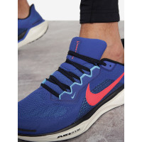 Nike Pegasus 41 FD2722-401 кроссовки мужские летние