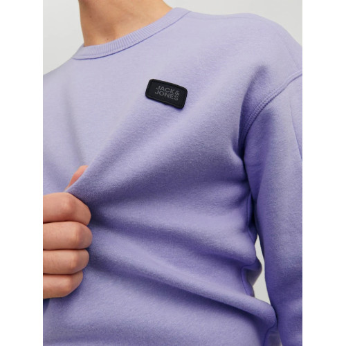 Jack & Jones JCOCLASSIC CREW NECK SWEAT NOOS фиолетовый свитшот
