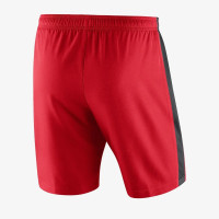 Nike Dry Short II Woven 894331-657 спортивные красные шорты 