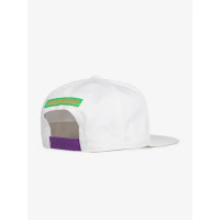 Кепка белая Jordan Pro Unisex Cap CW6395-100