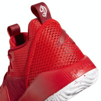 Кроссовки баскетбольные Adidas Dame Certified GY2443 красные