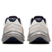 Nike Quest 5 Beige DD0204-103 Кроссовки летние мужские