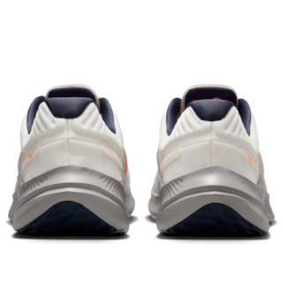 Nike Quest 5 Beige DD0204-103 Кроссовки летние мужские