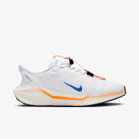 Nike Pegasus 41 EasyOn Blueprint HM0374-900 кроссовки мужские