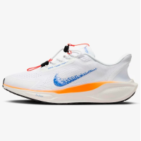 Nike Pegasus 41 EasyOn Blueprint HM0374-900 кроссовки мужские