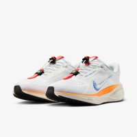 Nike Pegasus 41 EasyOn Blueprint HM0374-900 кроссовки мужские