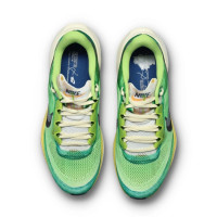 Nike Pegasus 41 SE IH3583-999 кроссовки мужские