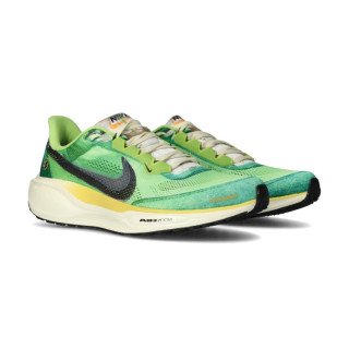 Nike Pegasus 41 SE IH3583-999 кроссовки мужские