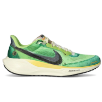 Nike Pegasus 41 SE IH3583-999 кроссовки мужские