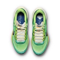 Nike Pegasus 41 SE IH3583-999 кроссовки мужские