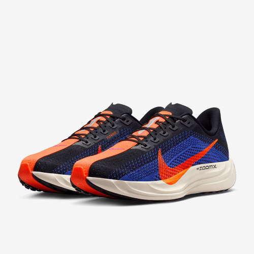 Nike Pegasus Plus FQ7262-008 кроссовки летние беговые
