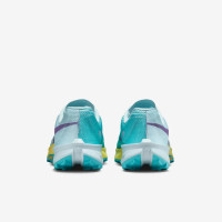 Nike Kiger 10 Trail FV3929-400 Кроссовки летние мужские