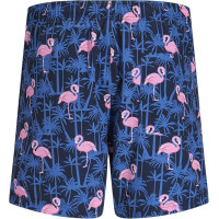 Мужские плавательные шорты Jack & Jones Jpstmaui яркие