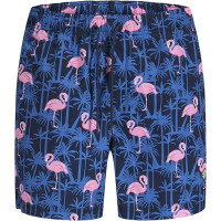 Мужские плавательные шорты Jack & Jones Jpstmaui яркие