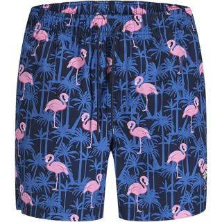 Мужские плавательные шорты Jack & Jones Jpstmaui яркие