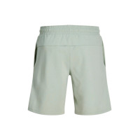 Шорты мужские JACK & JONES JPSTGORDON трикотажные