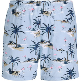 Мужские плавательные шорты Jack & Jones Jpstmaui яркие