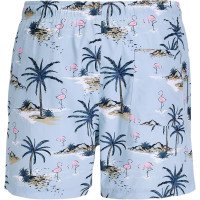 Мужские плавательные шорты Jack & Jones Jpstmaui яркие